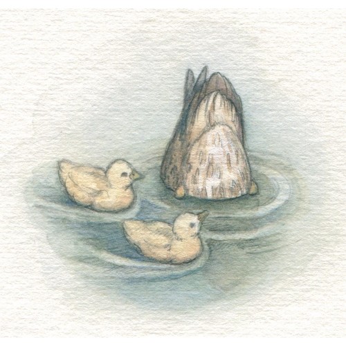 Miniature Painting - Ducks